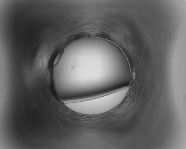 X0000099981347200805231014