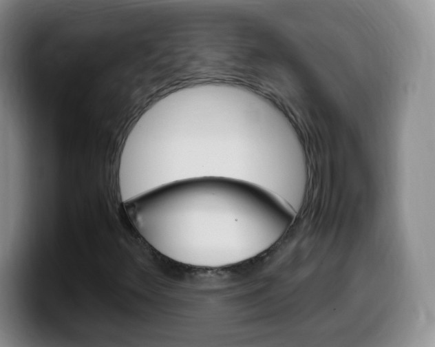 X0000099981348200805231014
