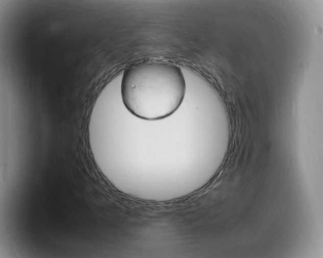 X0000099981349200805231014