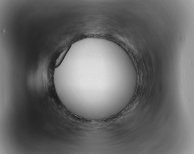 X0000099981350200805231014