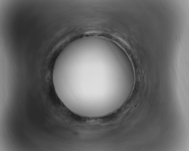 X0000099981351200805231014