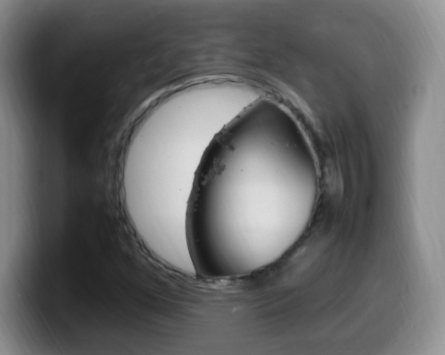 X0000099981352200805231014