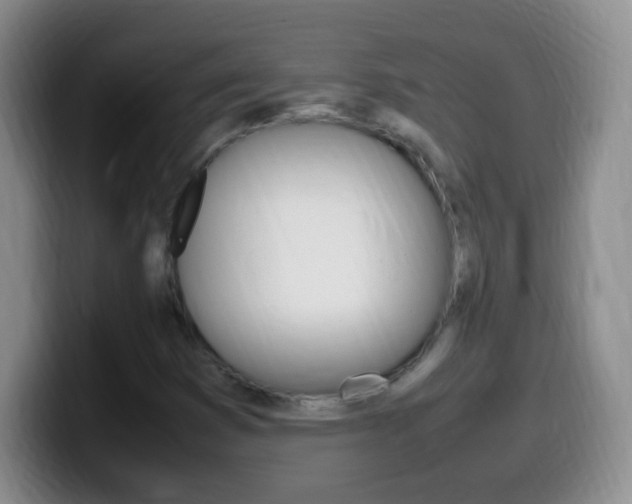X0000099981353200805231014