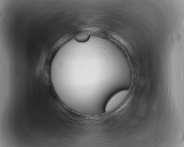 X0000099981354200805231014