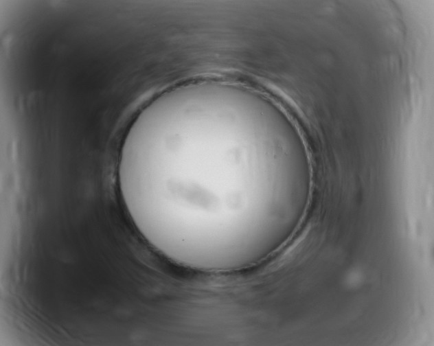 X0000099981355200805231014