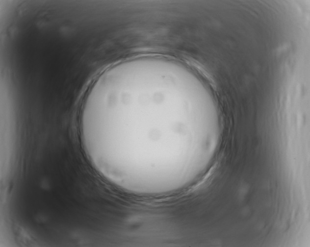 X0000099981357200805231014