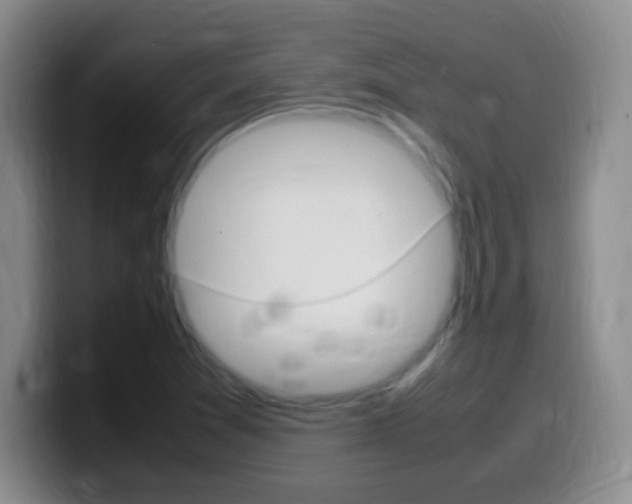 X0000099981361200805231014