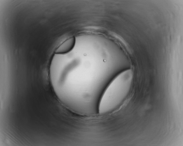 X0000099981362200805231014