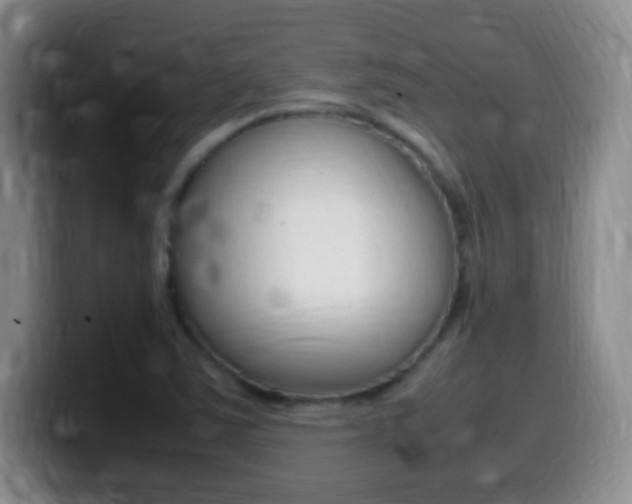 X0000099981363200805231014