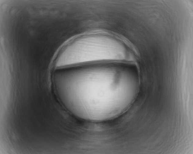 X0000099981364200805231014