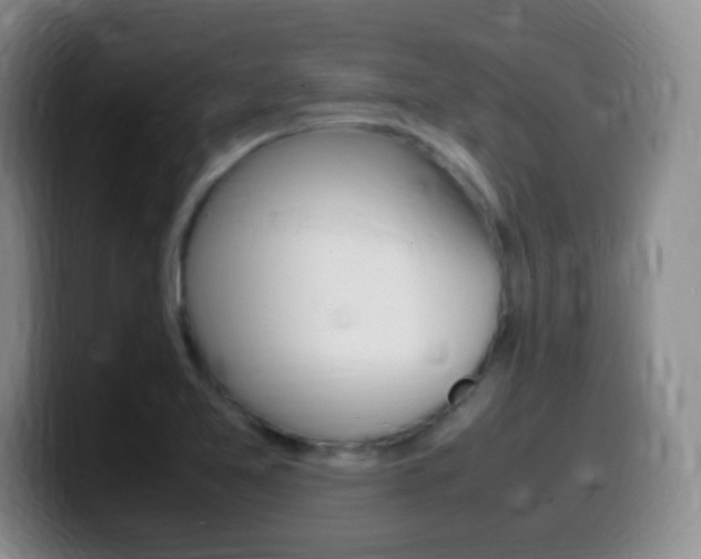 X0000099981365200805231014
