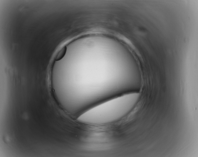 X0000099981366200805231014
