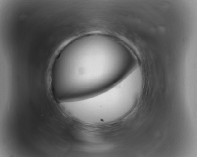 X0000099981367200805231014