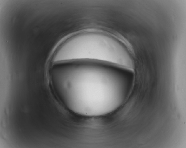 X0000099981368200805231014