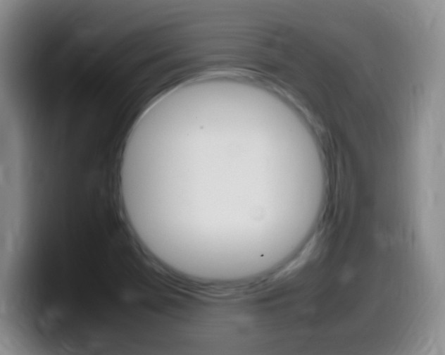 X0000099981369200805231014
