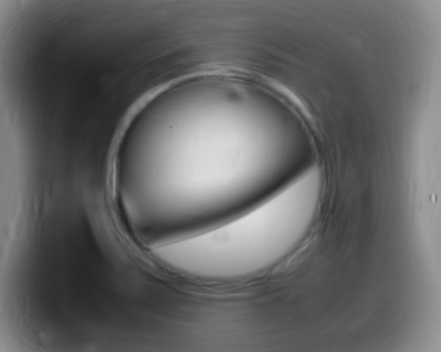 X0000099981371200805231014
