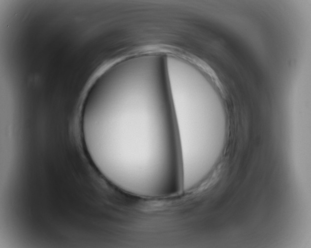 X0000099981373200805231014