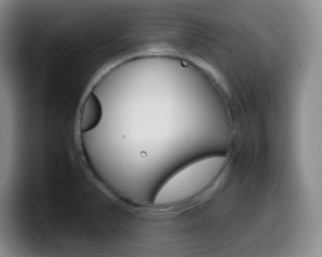 X0000099981374200805231014