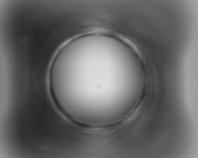 X0000099981375200805231014