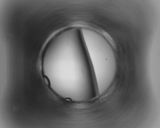 X0000099981376200805231014