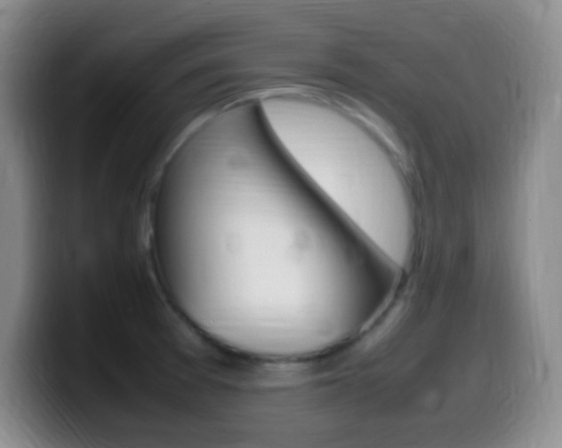 X0000099981377200805231014