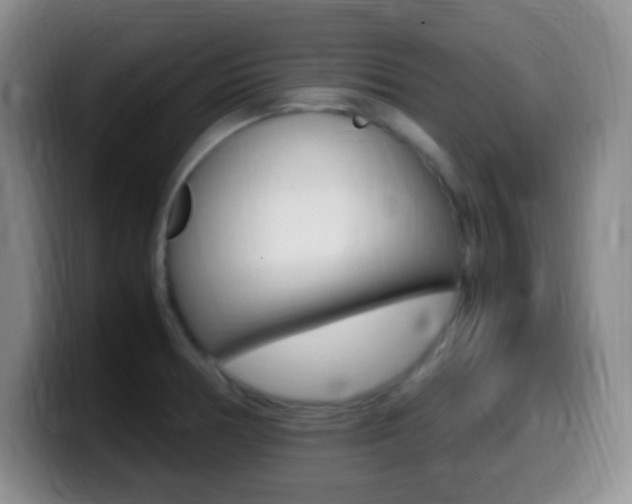X0000099981378200805231014