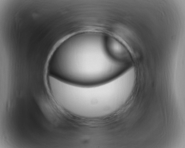 X0000099981379200805231014