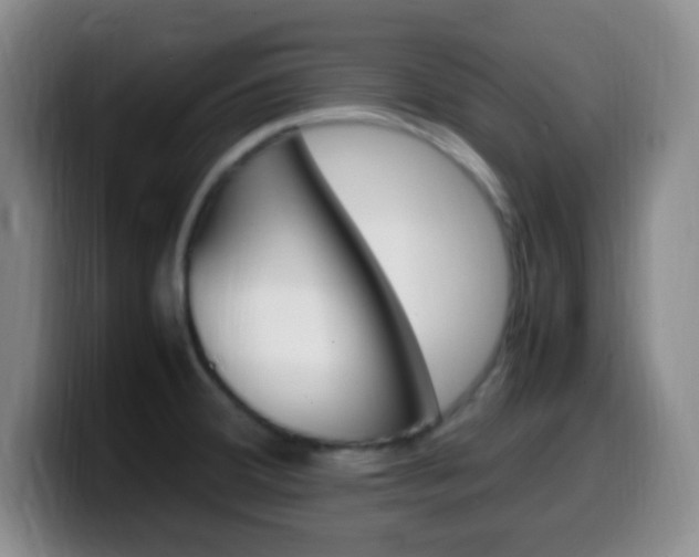 X0000099981380200805231014