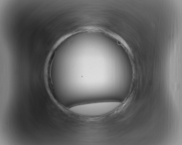 X0000099981381200805231014