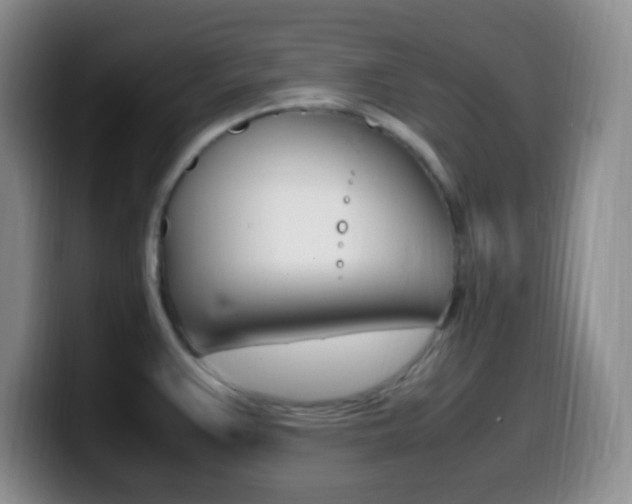 X0000099981383200805231014