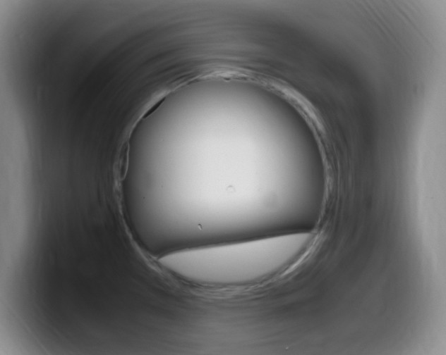 X0000099981385200805231014