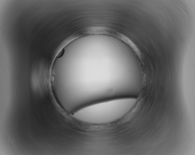X0000099981386200805231014