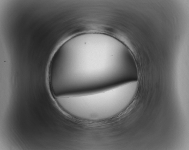 X0000099981387200805231013