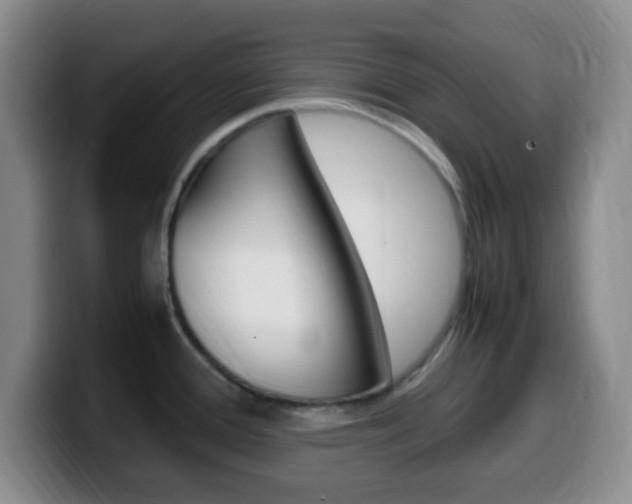 X0000099981388200805231013