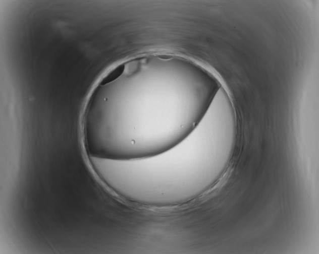 X0000099981389200805231013