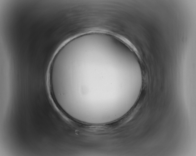 X0000099981391200805231013