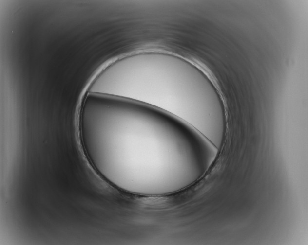 X0000099981392200805231013