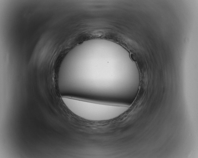 X0000099981394200805231013