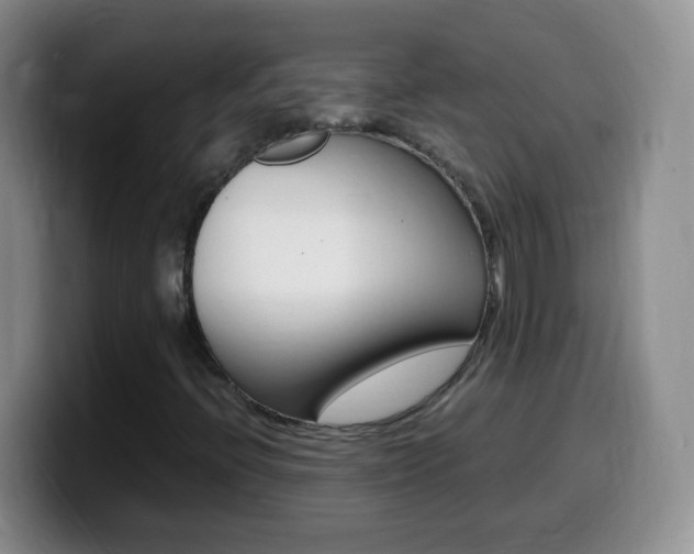 X0000099981396200805231013