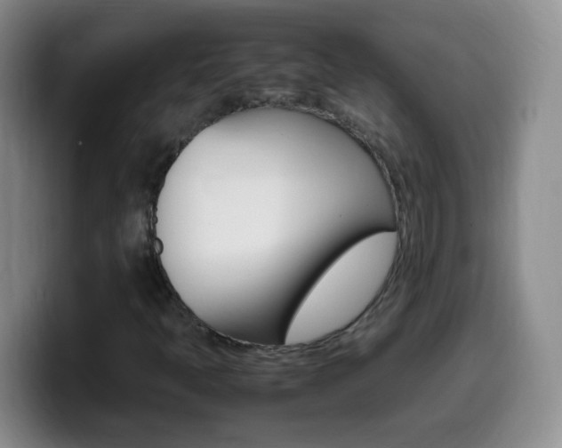 X0000099981397200805231013