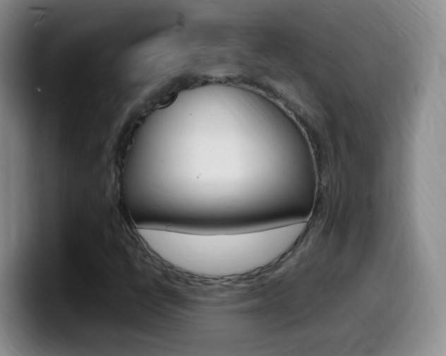 X0000099981398200805231013