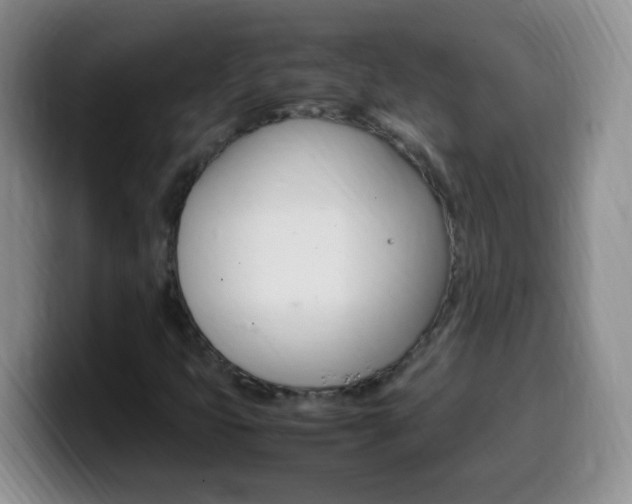 X0000099981399200805231013