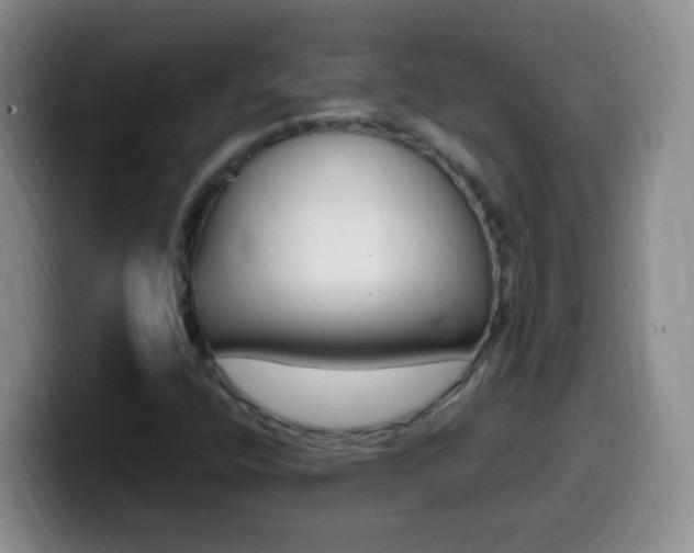X0000099981400200805231013