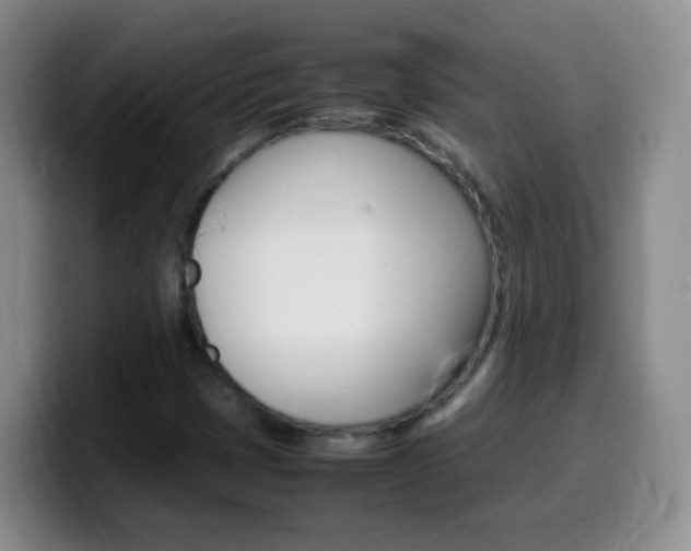 X0000099981401200805231013