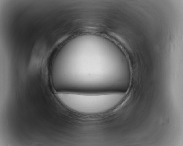X0000099981402200805231013