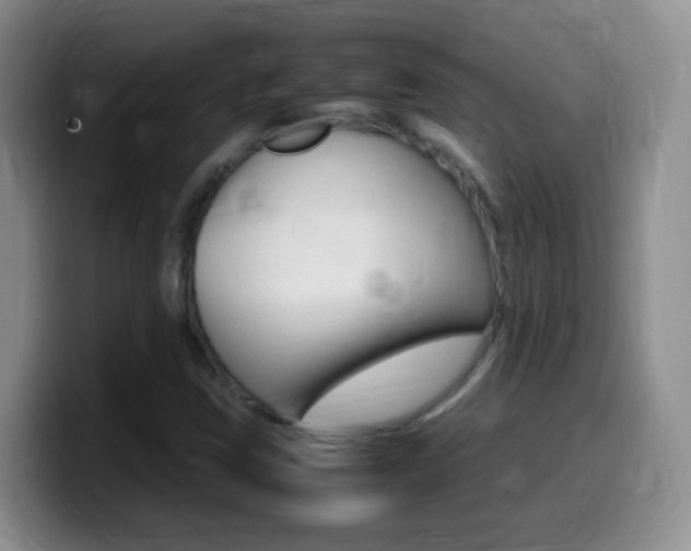 X0000099981403200805231013