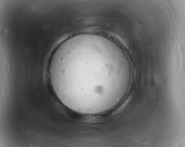 X0000099981405200805231013