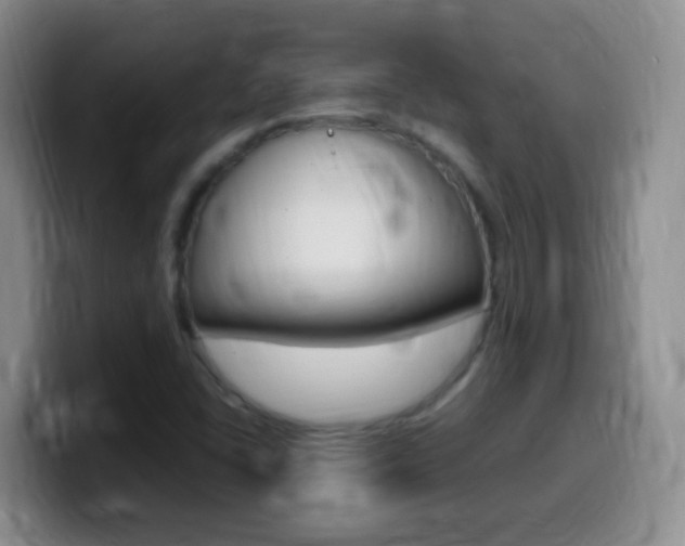 X0000099981406200805231013