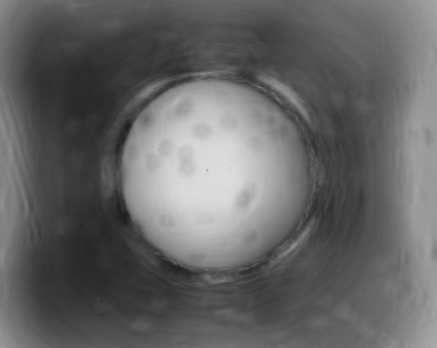 X0000099981407200805231013