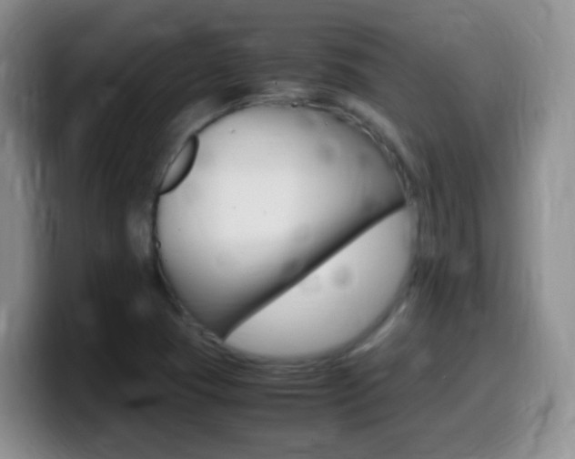 X0000099981409200805231013